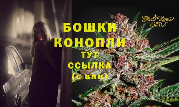 индика Баксан