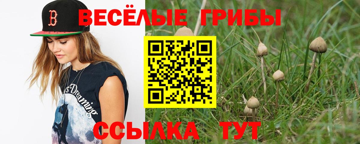 где купить наркоту  Псилоцибиновые грибы прущие грибы  Дагестанские Огни  Вход с VPN  Псилоцибиновые грибы Psilocybe 