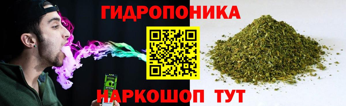 Марихуана марихуана Дагестанские Огни